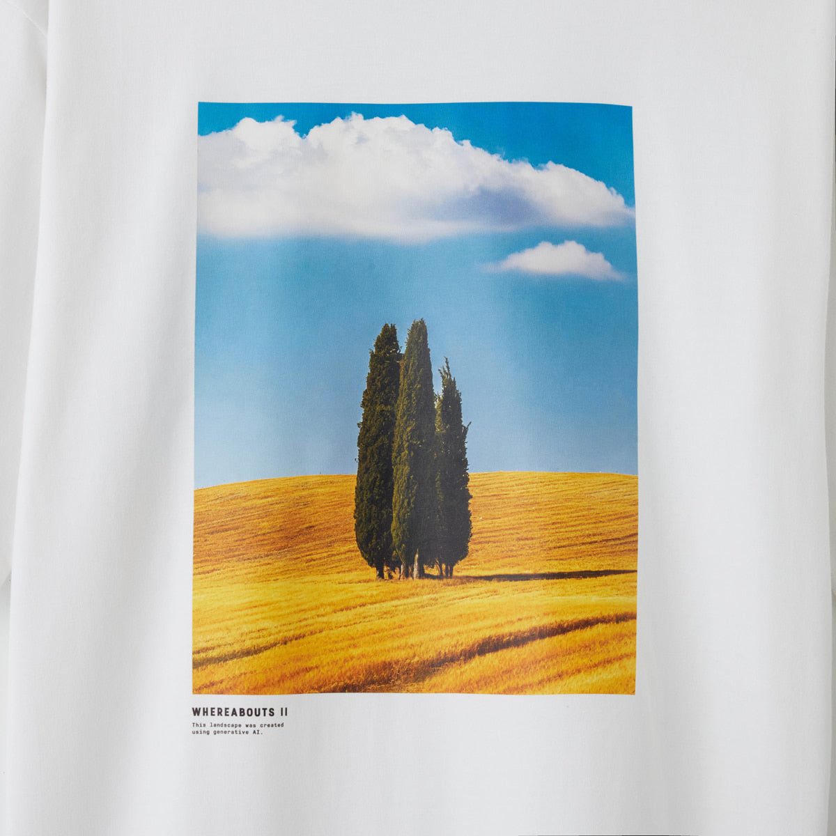 T-shirts / WHEREABOUTS II / A / ホワイト