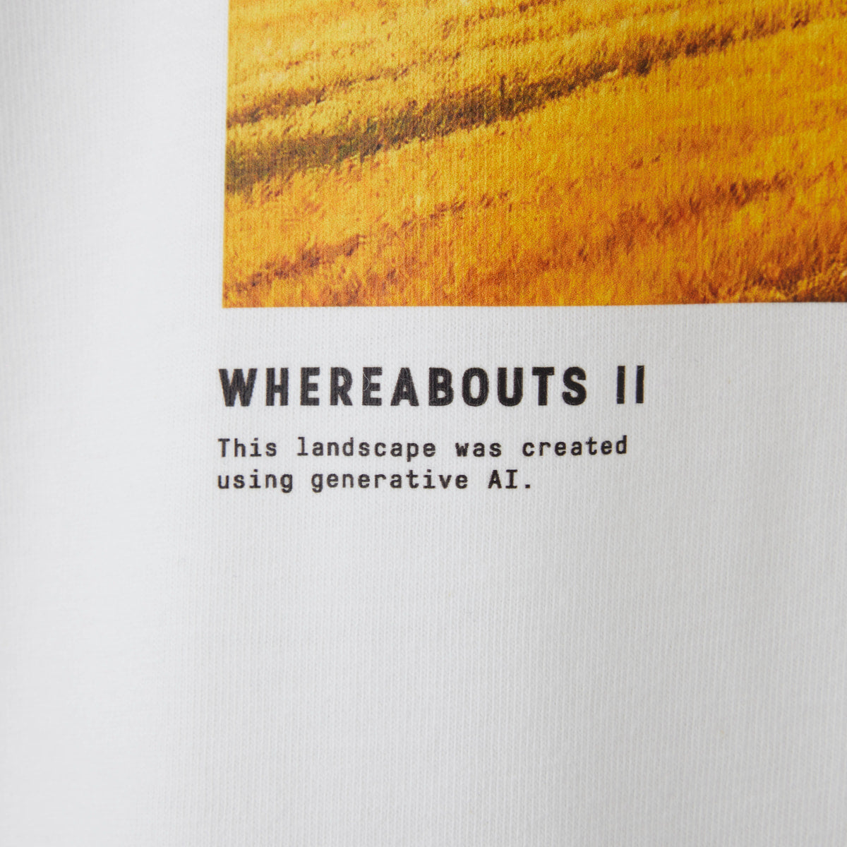 T-shirts / WHEREABOUTS II / A / ホワイト