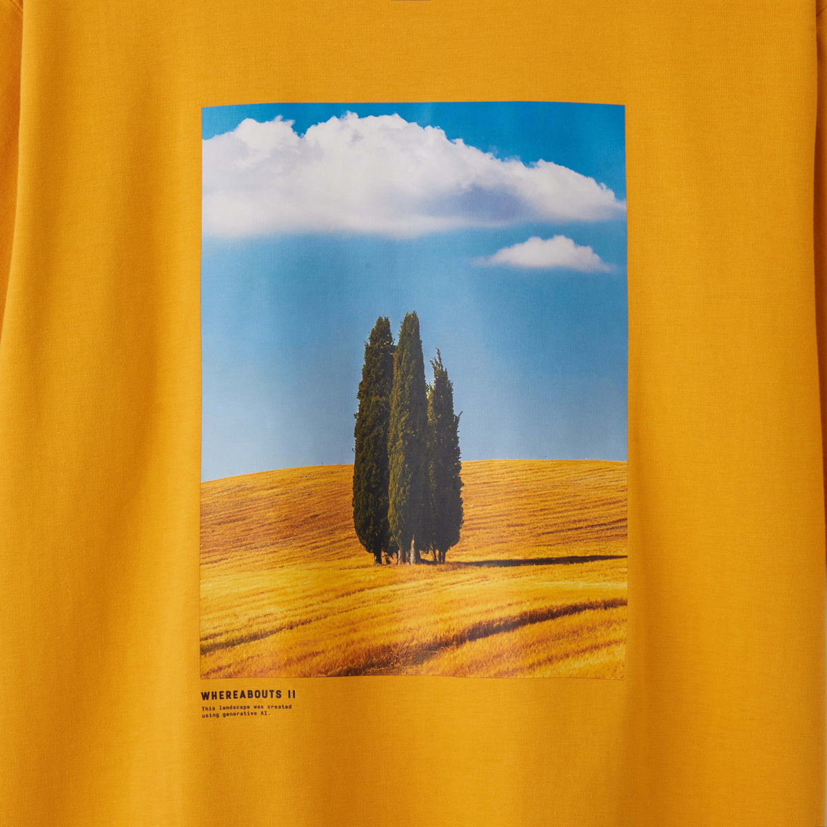 T-shirts / WHEREABOUTS II / A / マスタード