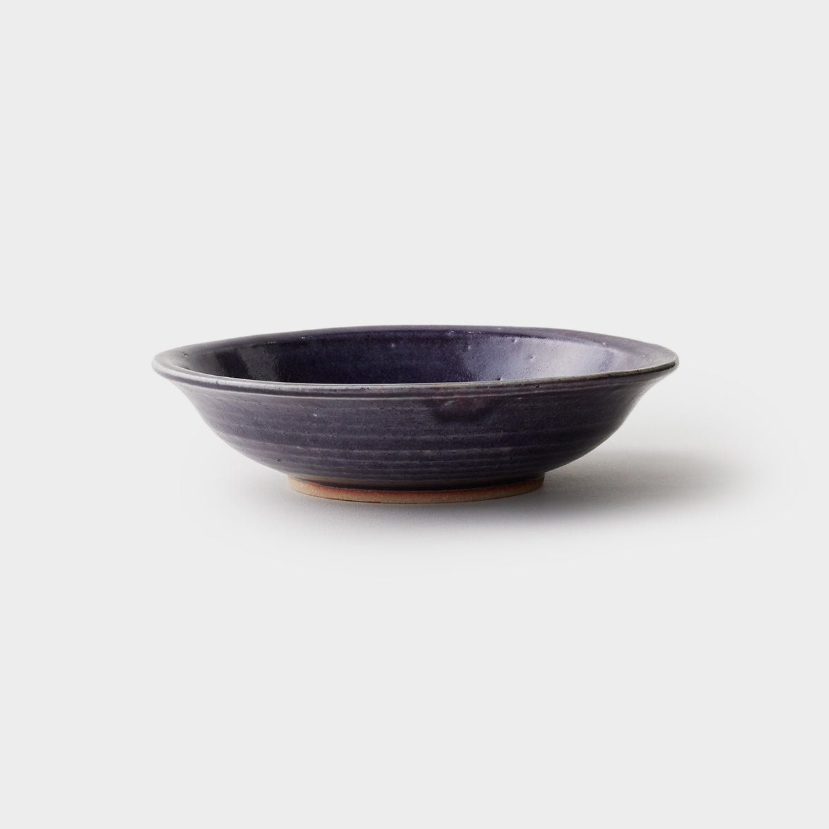 信楽四季彩陶器 / 紫苑(しおん) / 中深皿